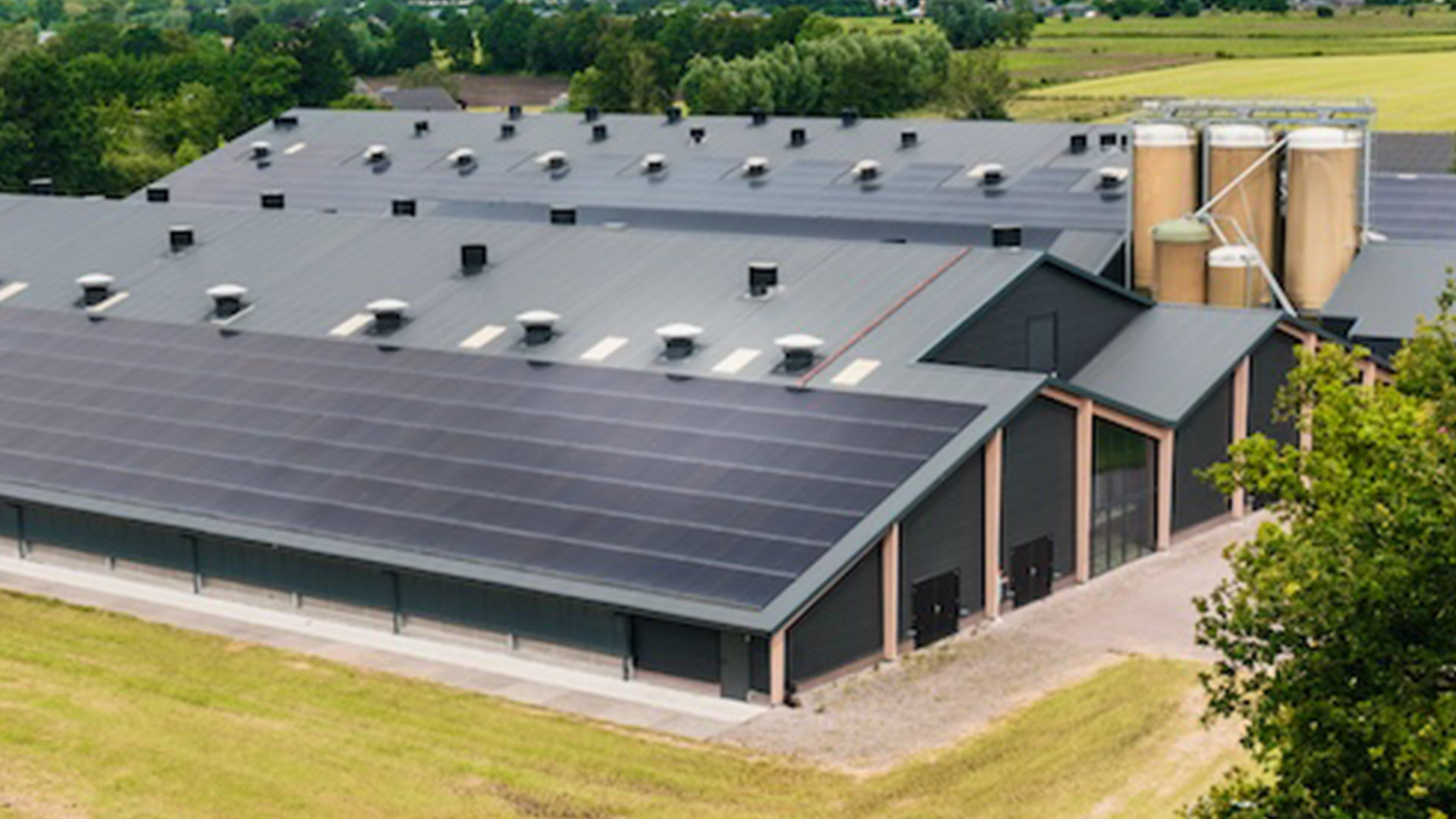 Pluimveebedrijf – Pluimvee Verbeek