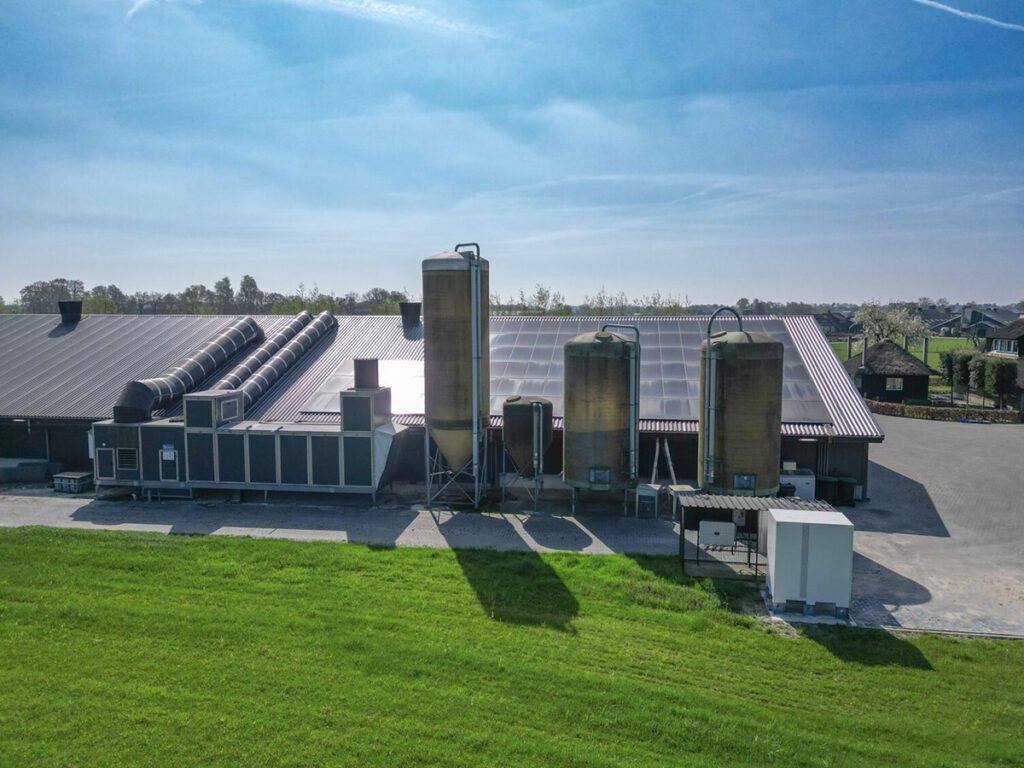 Mispelhoeve de uitdaging