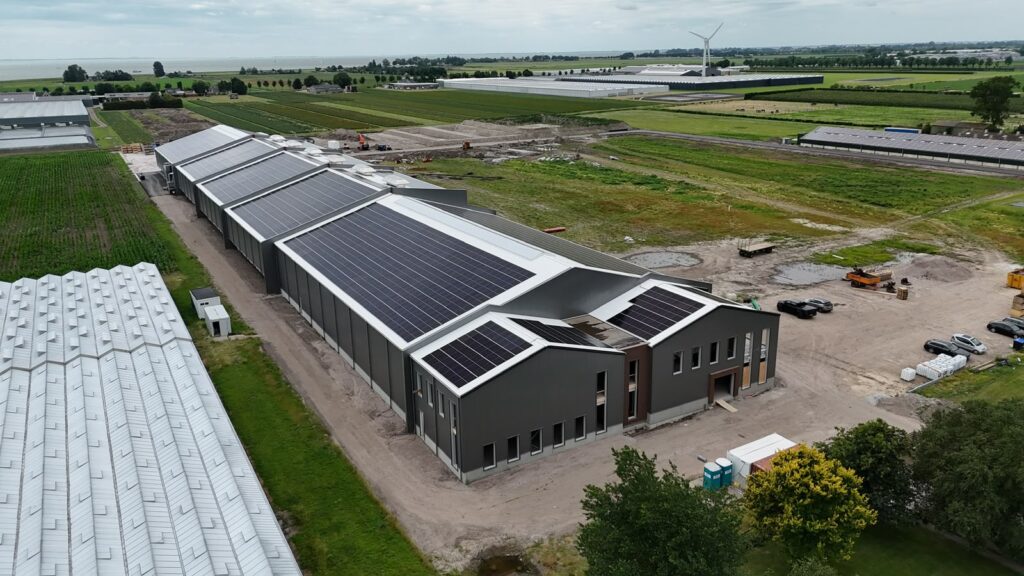 Energieoplossing Mirial Tulips