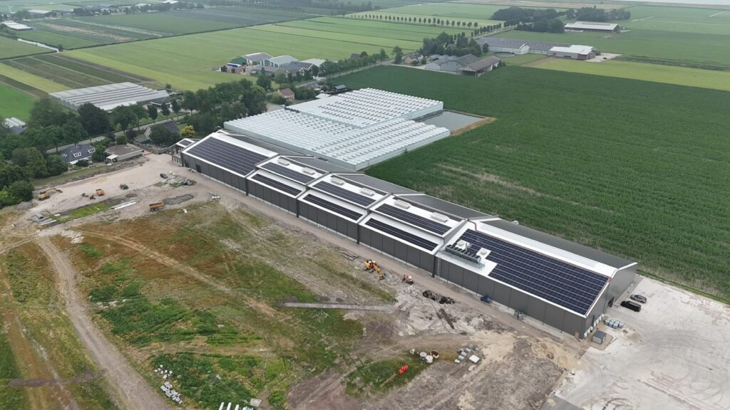 Mirial Tulips project met batterijopslag