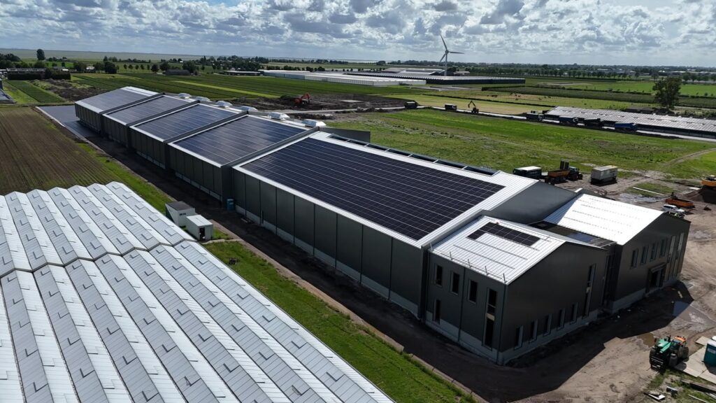 Project Mirial Tulips Zonnepanelen