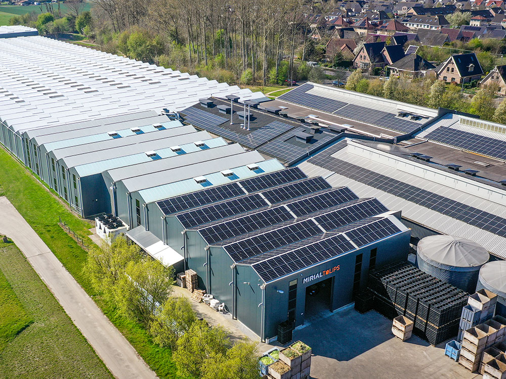 Van teeltplan naar een uitvoerbaar energieplan
