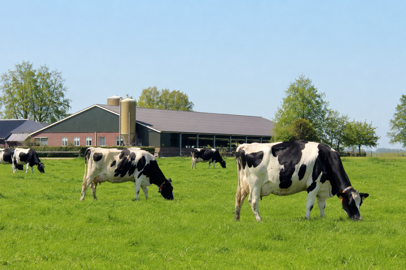 Melkveehouderij energieoplossingen